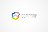 PSD Logo: Colorful Hexagon Logo