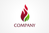 AI Logo: Leaf and Flames Logo