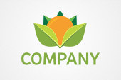 PSD Logo: Orange Blossom Leaves Nature Logo